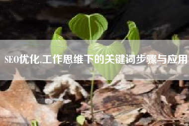 SEO优化,工作思维下的关键词步骤与应用