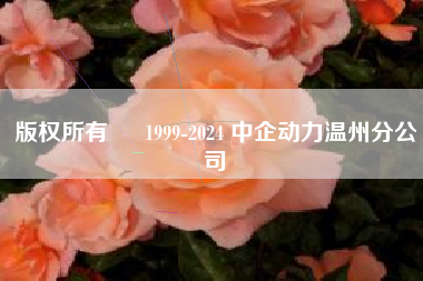 版权所有 © 1999-2024 中企动力温州分公司