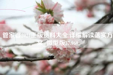 管家婆2024正版资料大全,详细解读落实方案_微型版37.960