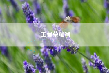 王者荣耀蜀