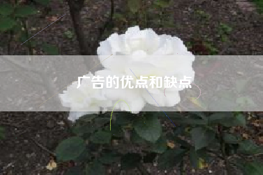 广告的优点和缺点