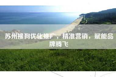 苏州搜狗优化推广，精准营销，赋能品牌腾飞
