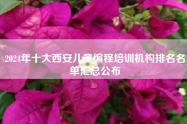 2024年十大西安儿童编程培训机构排名名单汇总公布