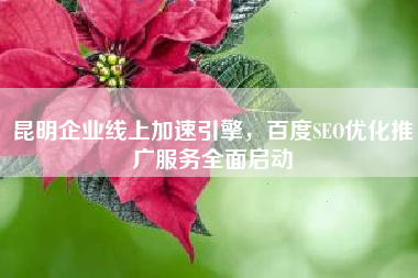 昆明企业线上加速引擎，百度SEO优化推广服务全面启动
