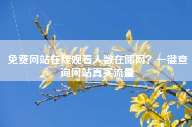 免费网站在线观看人数在哪网？一键查询网站真实流量