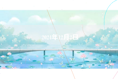 2024年12月2日