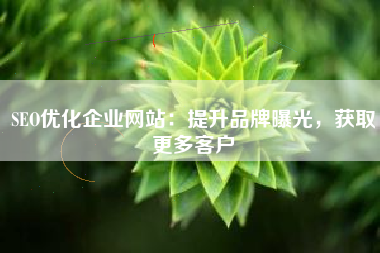 SEO优化企业网站：提升品牌曝光，获取更多客户