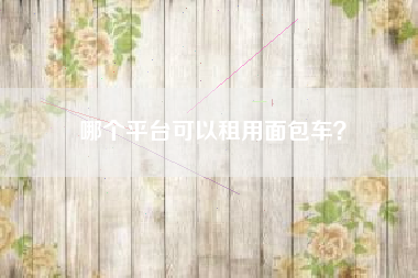哪个平台可以租用面包车？