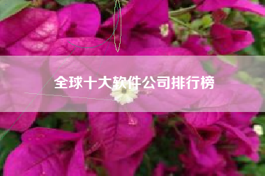 全球十大软件公司排行榜