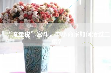 “流量税”宫斗，中小商家如何活过三集？