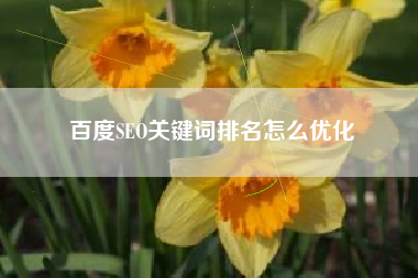 百度SEO关键词排名怎么优化