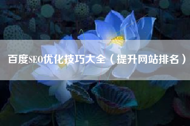 百度SEO优化技巧大全（提升网站排名）