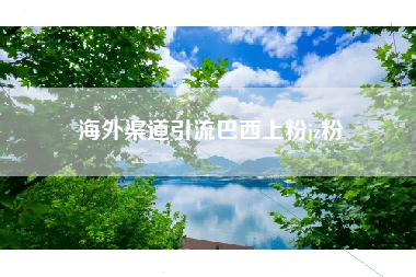 海外渠道引流巴西上粉jz粉