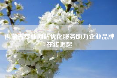内蒙古专业网站优化服务助力企业品牌在线崛起