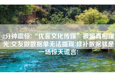 2分钟震惊!“优客文化传媒”被骗真相曝光!交友做数据单无法提现!修补数据就是一场惊天谎言!