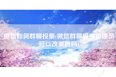 微信如何群聊投票(微信群聊投票管理员可以改票数吗)