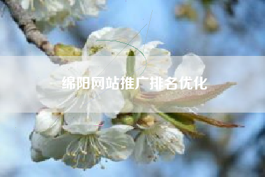 绵阳网站推广排名优化