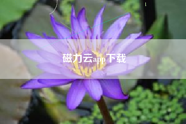 磁力云app下载
