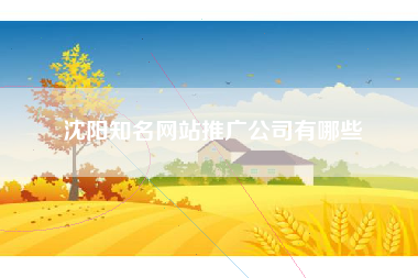 沈阳知名网站推广公司有哪些