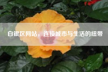 白银区网站，连接城市与生活的纽带