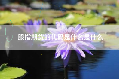 股指期货的代码是什么是什么