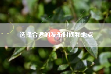 选择合适的发布时间和地点