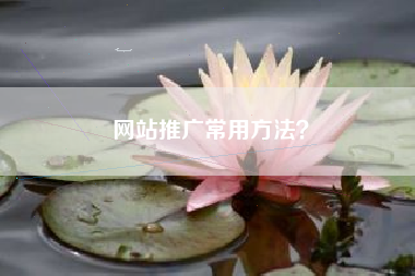网站推广常用方法？