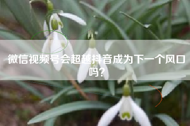 微信视频号会超越抖音成为下一个风口吗? 微信视频号会超越抖音成为下一个风口吗?