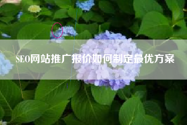 SEO网站推广报价如何制定最优方案