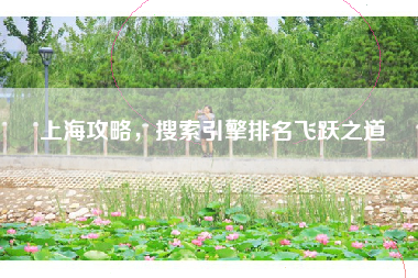 上海攻略，搜索引擎排名飞跃之道