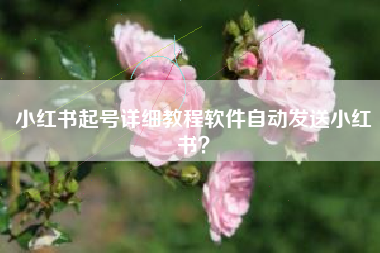 小红书起号详细教程软件自动发送小红书？