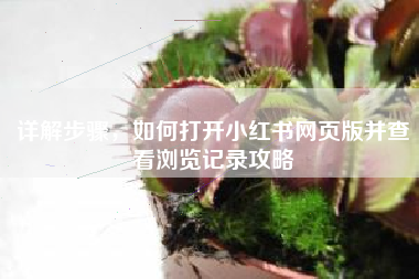 详解步骤，如何打开小红书网页版并查看浏览记录攻略