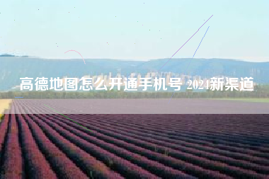 高德地图怎么开通手机号 2024新渠道