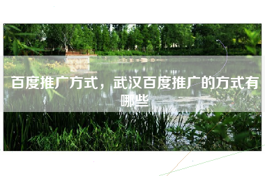 百度推广方式，武汉百度推广的方式有哪些