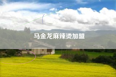 马金龙麻辣烫加盟