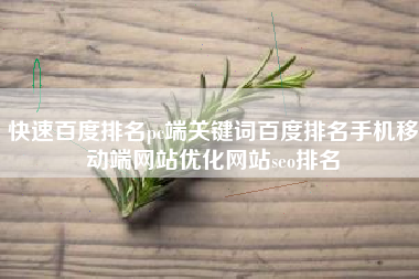 快速百度排名pc端关键词百度排名手机移动端网站优化网站seo排名
