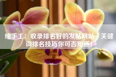 纯手工：收录排名好的发帖网站｜关键词排名技巧你可否知道！