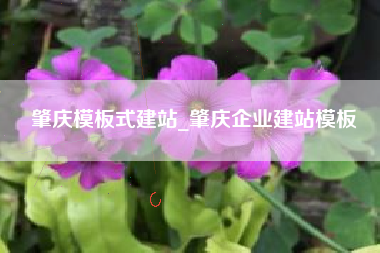 肇庆模板式建站_肇庆企业建站模板