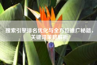 搜索引擎排名优化与全方位推广秘籍，关键词策略解析