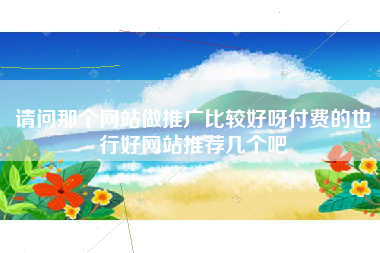 请问那个网站做推广比较好呀付费的也行好网站推荐几个吧