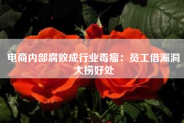 电商内部腐败成行业毒瘤：员工借漏洞大捞好处