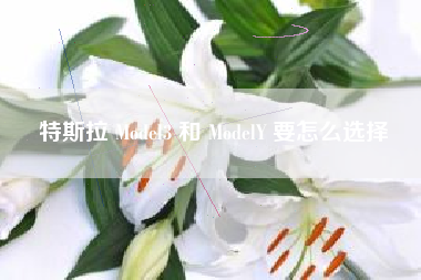 特斯拉 Model3 和 ModelY 要怎么选择 特斯拉 Model3 和 ModelY 要怎么选择