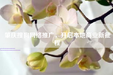 肇庆搜狗网络推广，开启本地商业新征程