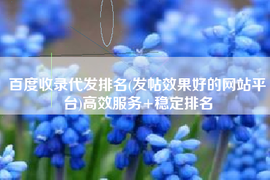 百度收录代发排名(发帖效果好的网站平台)高效服务+稳定排名