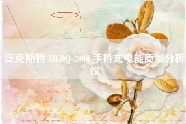 泛克斯特 MEDQ-2000 手持式电能质量分析仪