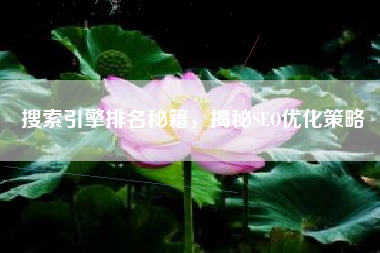 搜索引擎排名秘籍，揭秘SEO优化策略