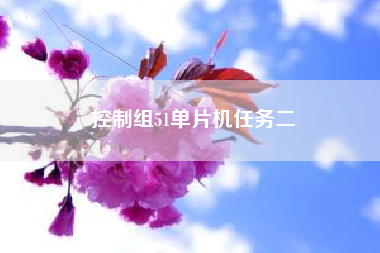 控制组51单片机任务二