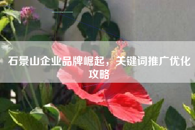 石景山企业品牌崛起，关键词推广优化攻略
