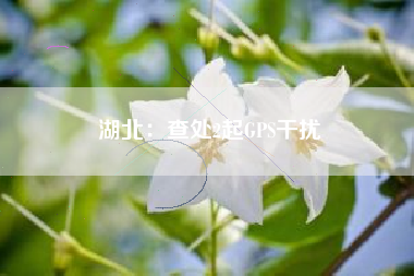 湖北：查处2起GPS干扰