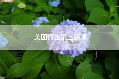 美团打出第三张牌